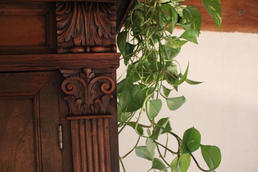 Florence Pitti Loft ภายนอก รูปภาพ
